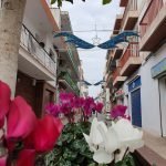 Read more about the article S’instal·len noves jardineres al centre del municipi