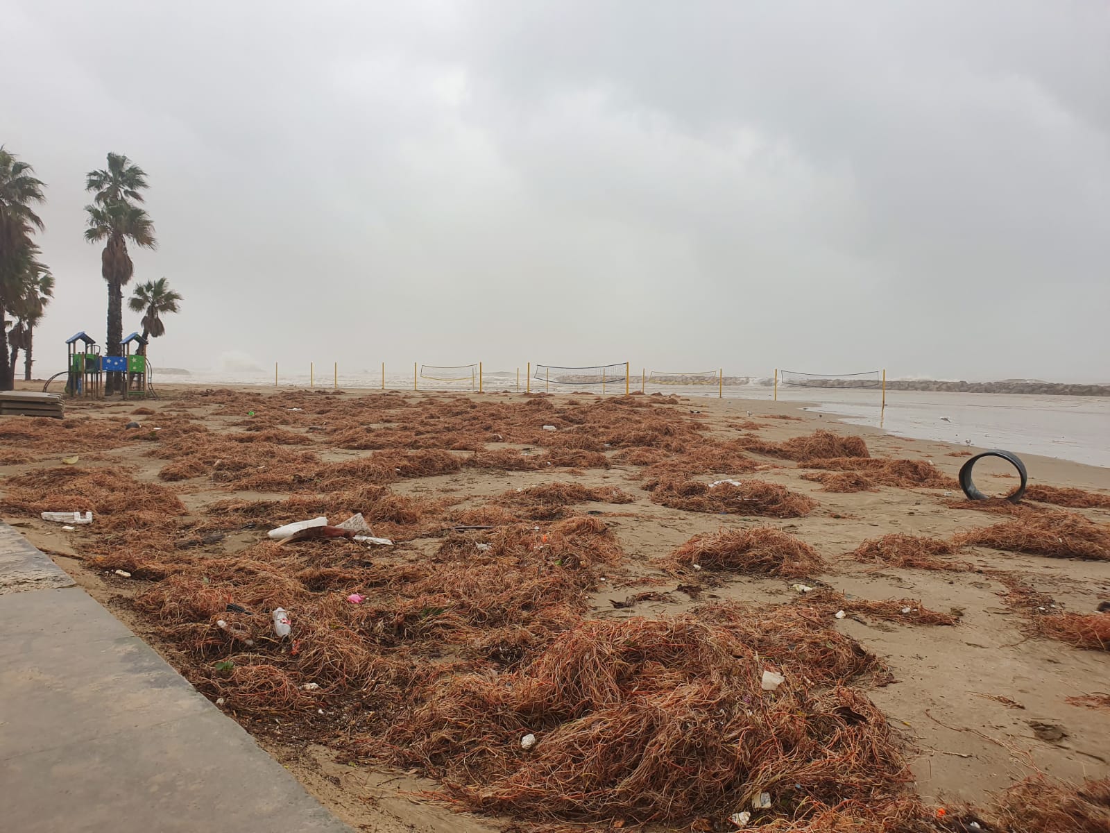 Read more about the article Continuen les tasques de neteja a les platges