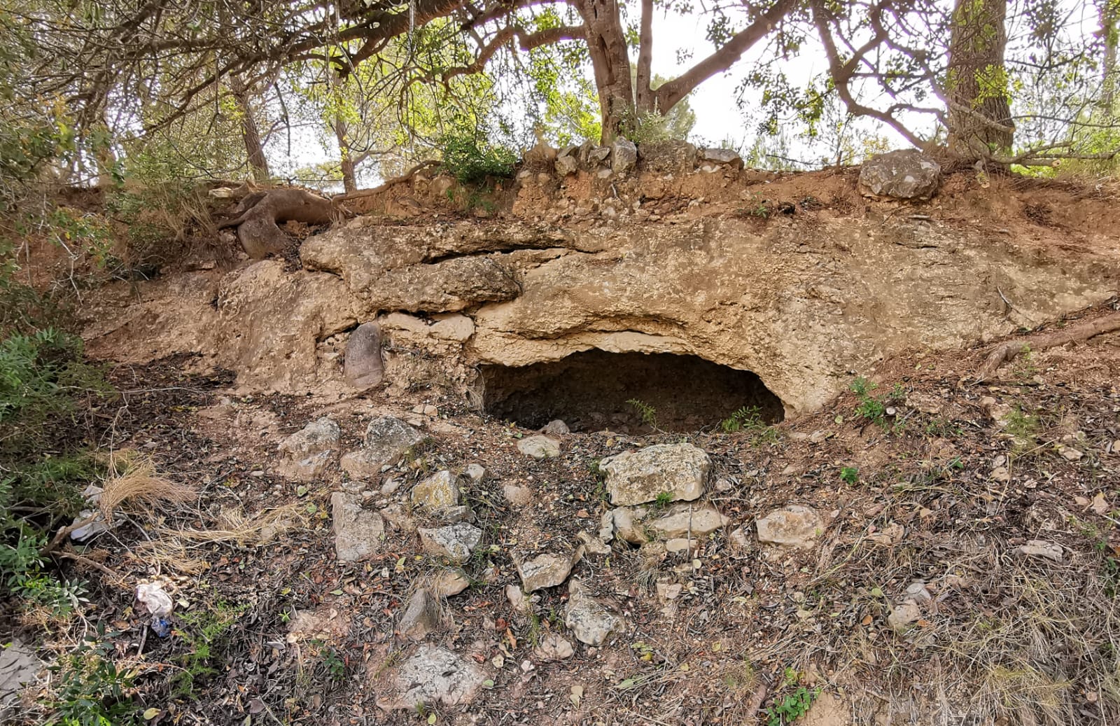 Read more about the article Es continuen descobrint noves barraques de pedra seca