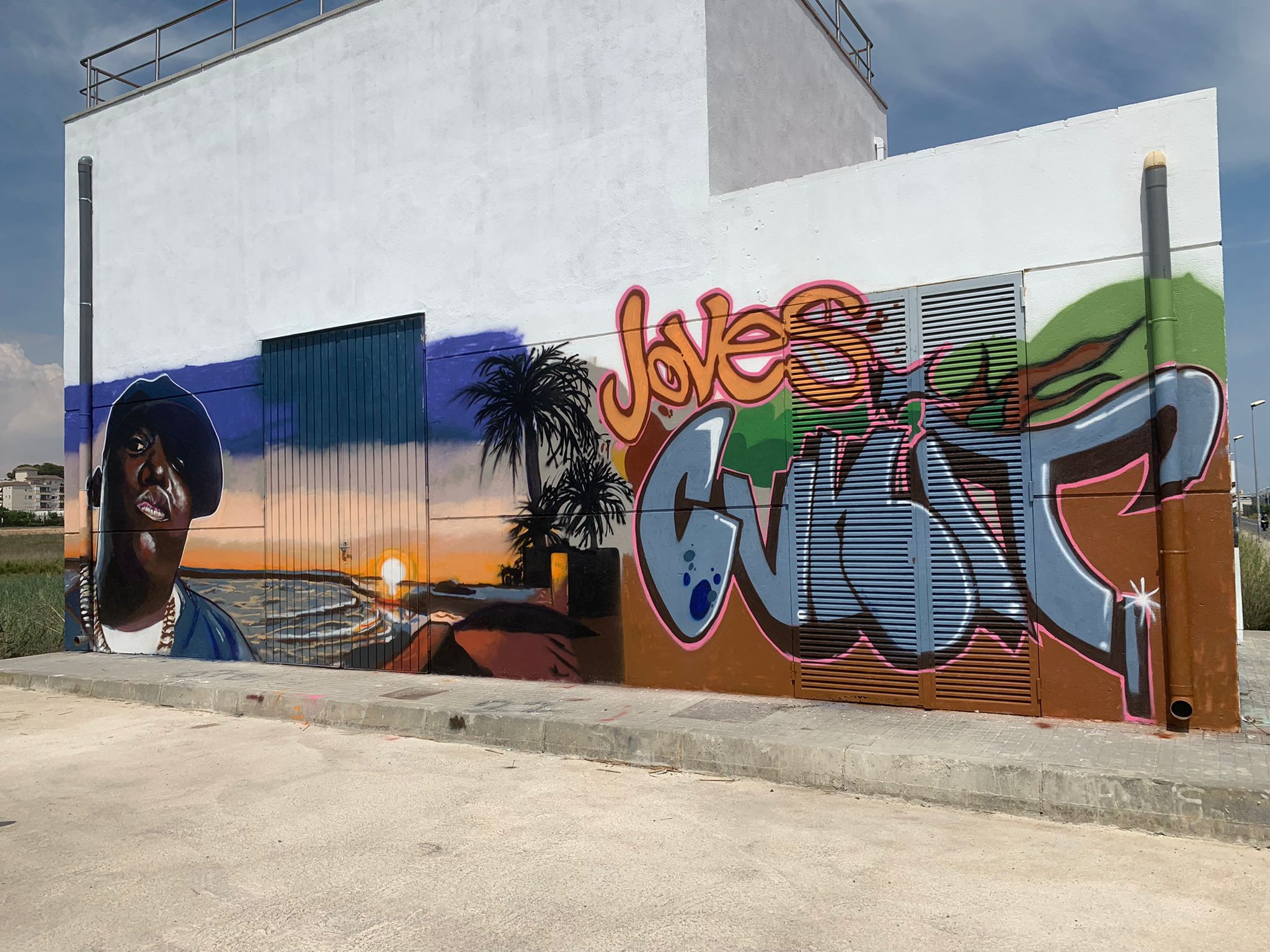 Read more about the article Impressionant mural elaborat pels joves del curs de graffiti.