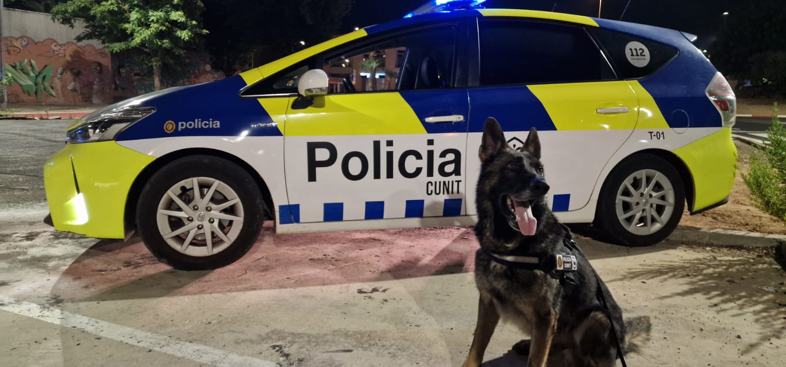 Read more about the article La Policia Local de Cunit incorpora gossos als dispositius de Seguretat Ciutadana